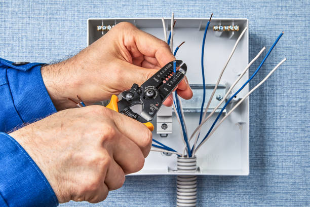 Best Electrical Panel Upgrades  in Little Silver, NJ